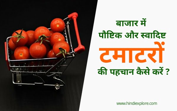 Healthy Tomato : बाजार में टमाटरों की पहचान कैसे करें?
